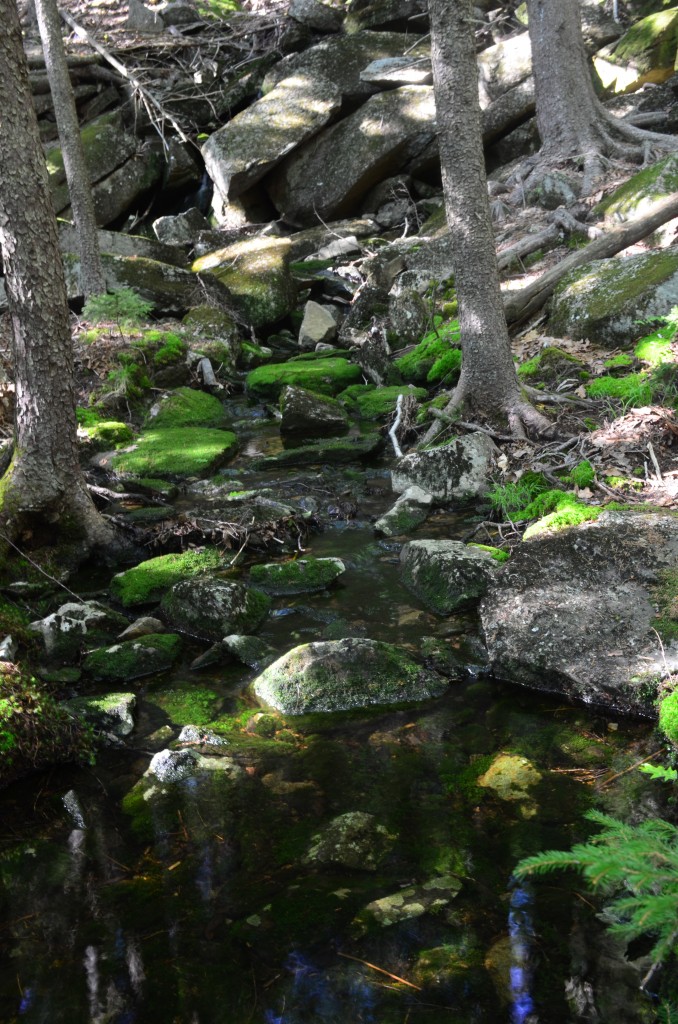 The "quiet water" of Mount Monadnock's  Fairy Spring. 06.04.13. Photo by Patrick Hummel.