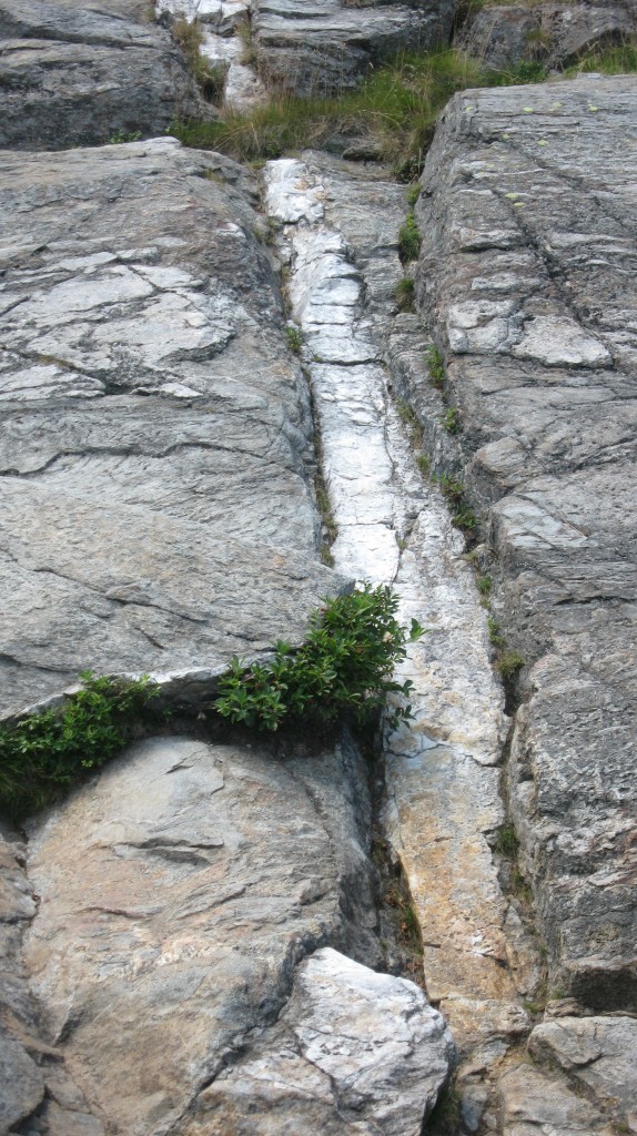 Thoreau was much more interested in the ecology of Monadnock, but made some notes about the geology, including quartz veins, like this one seen here on the Pumpelly Trail. Photo by Patrick Hummel.