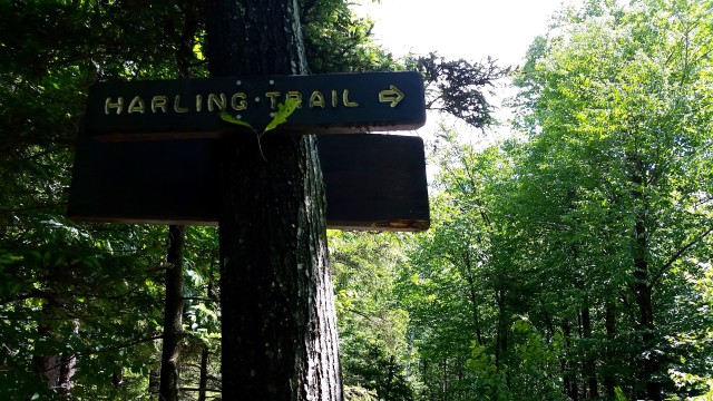 The sign for the Harling Trail off of Cascade Link is posted high up on a tree.