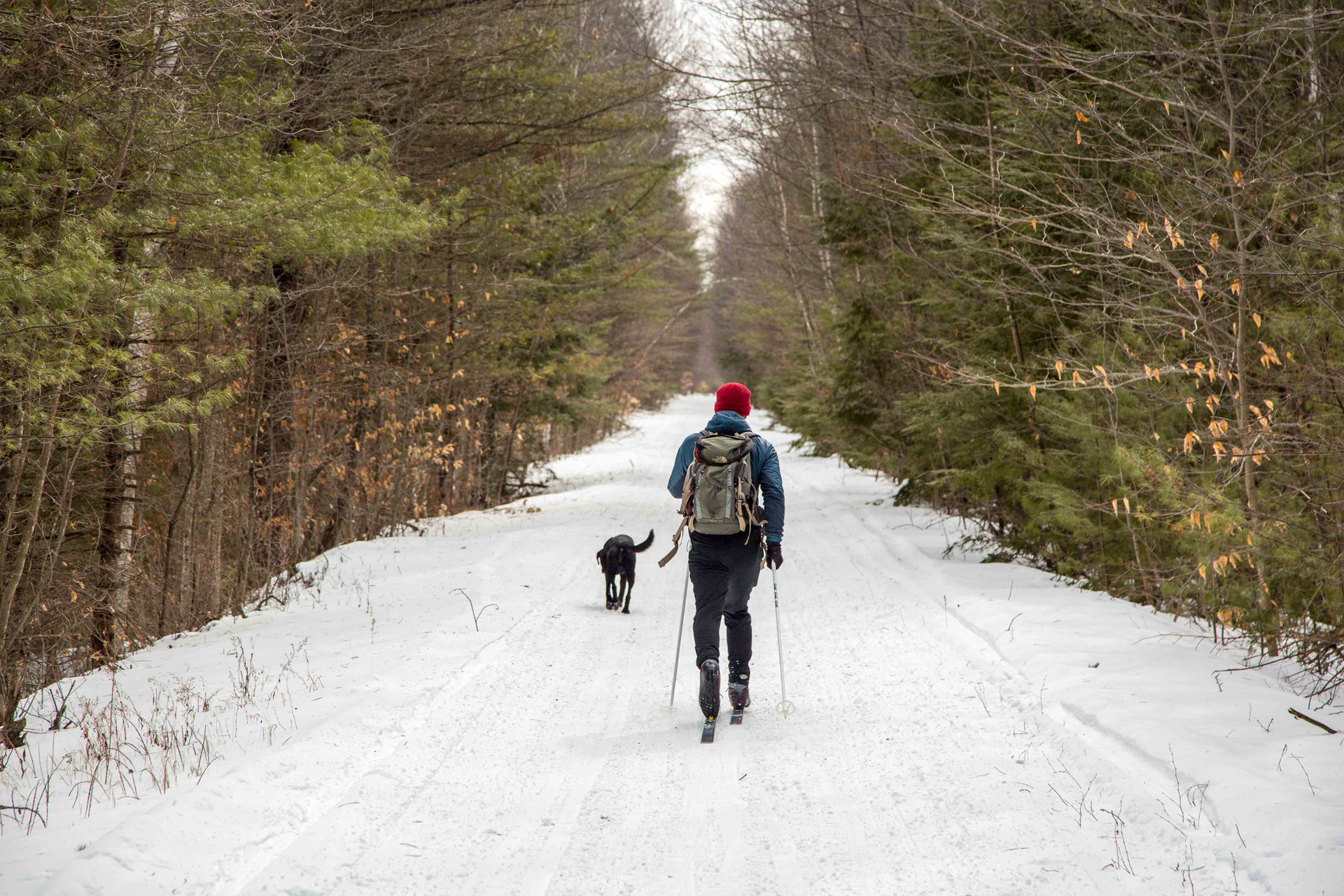 Northern Rail Trail - Trail Finder