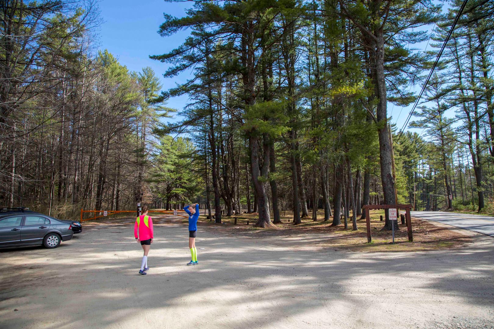 Trail Running at Bear Brook – Your running buddy will thank you! – NH