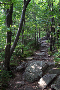 Wapack Trail at Miller State Park