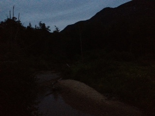 Home of Fireflies in Franconia Notch State Park