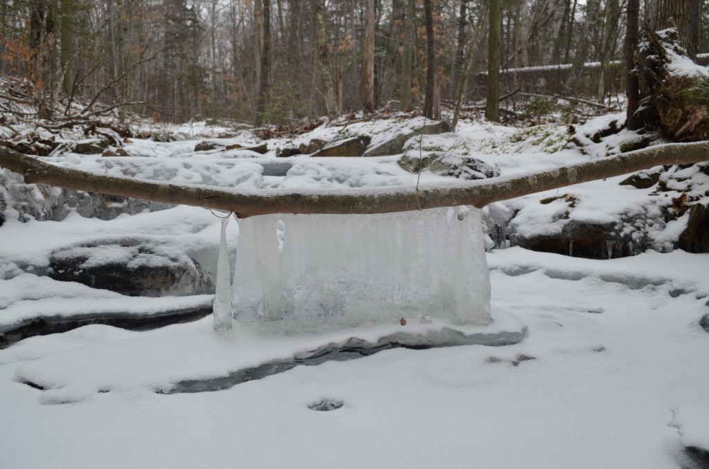 Ice in Poole Brook on Monadnock's eastern slopes. February 2013. Photo by Patrick Hummel