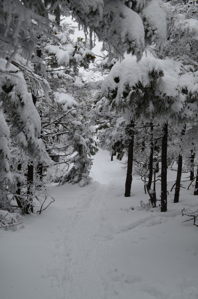 There was deep snow on the trails before this last storm. Photo by Patrick Hummel