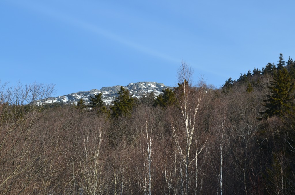 A view of Monadnock's Summit from the site of the Half Way House Hotel. Photo by Patrick Hummel.