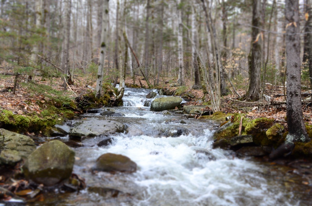 I think John and Abigail Adams would enjoy sitting by the Ark Brook, Mount Monadnock. 04.11.13. Photo by Patrick Hummel