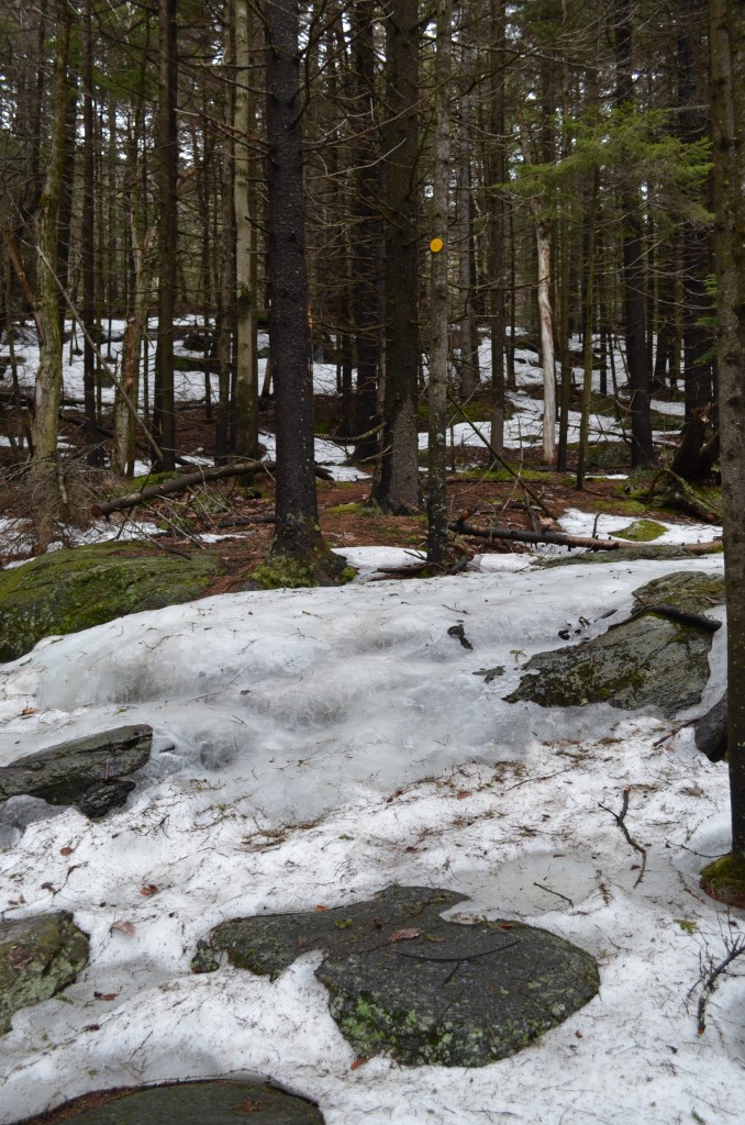 Still sections of snow and ice on Monadnock's trails this week. Bring your spikes! 04.11.13. Photo by Patrick Hummel