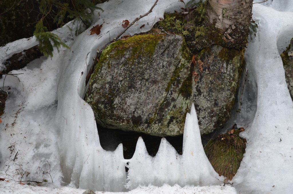 Melting ice can take interesting shapes, like this one off of Cascade Link. Photo by Patrick Hummel.