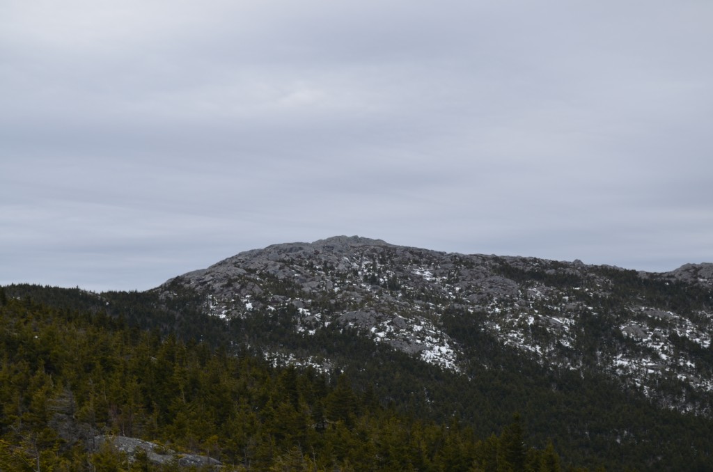 Yesterday, Monadnock's summit was mostly bare rock. Taken from the Pumpelly Trail, 04.11.13. Photo by Patrick Hummel.