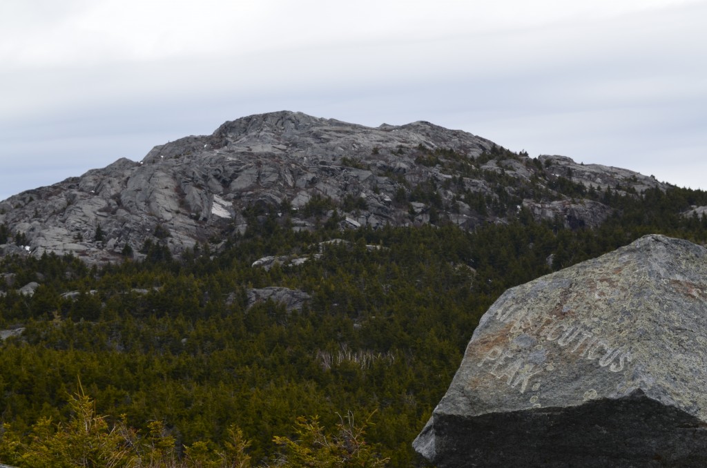 Bald Rock on Monadnock's south face is a favorite haunt of this Park Manager, seen here on 04.18.13. 