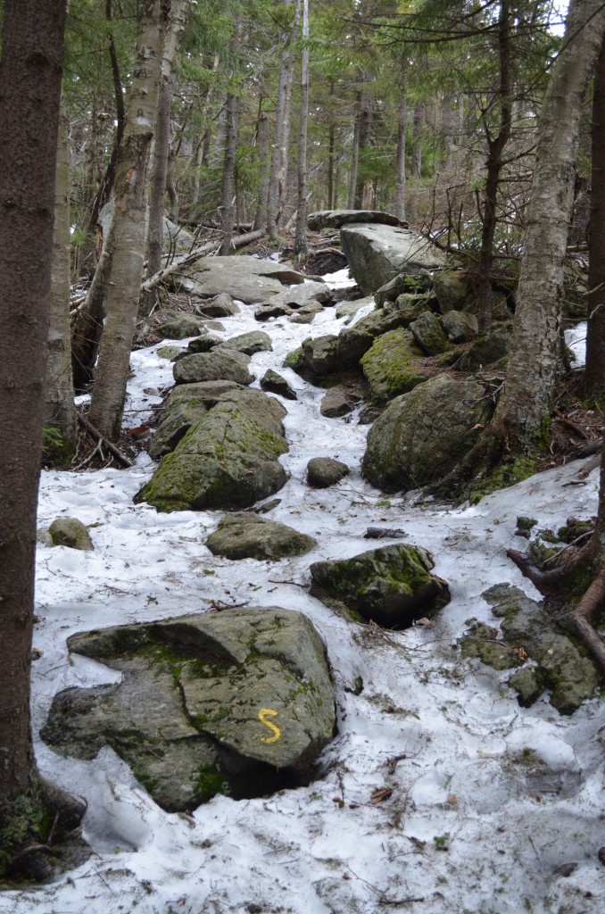 Snow and ice remain in many areas of Monadnock's trails, like the Smith Connecting Trail seen here on 04.18.13. Photo by Patrick Hummel.