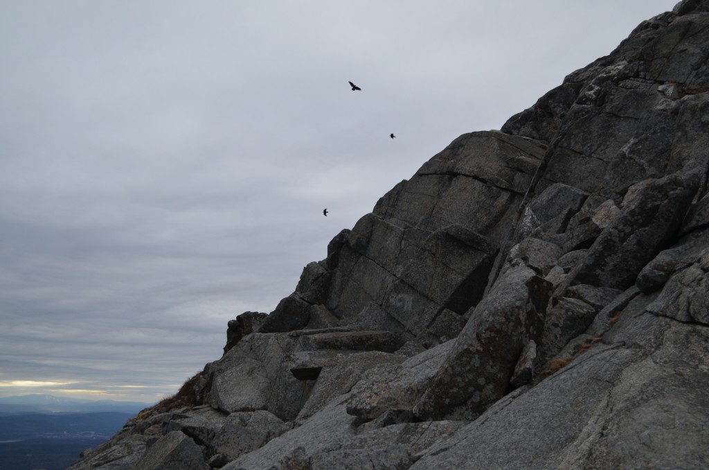 Consider a new "flock" of friends to hike with. Ravens riding the winds above Monadnock's summit. 04.18.13. Photo by Patrick Hummel.