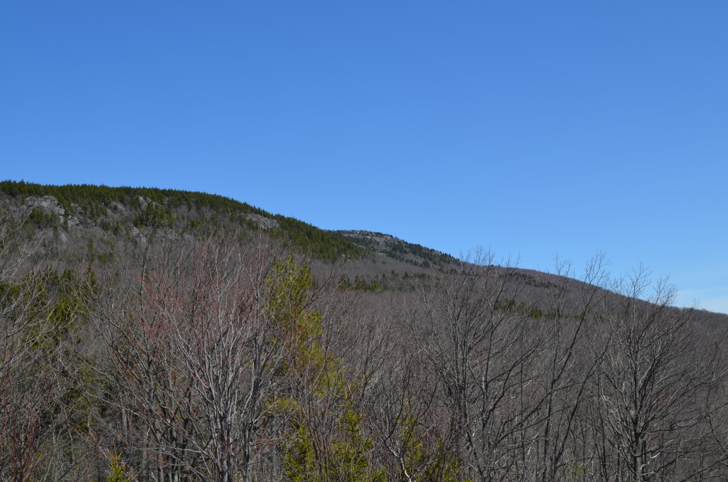 The trees on Monadnock will be popping with new life soon. This view of the southern shoulder taken from "Little Mountain" off of the Parker Trail. 04.24.13. Photo by Patrick Hummel.