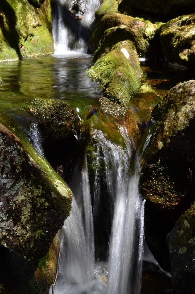 Monadnock's Mossy Brook, which parralel's its namesake trail. 04.24.13. Photo by Patrick Hummel.
