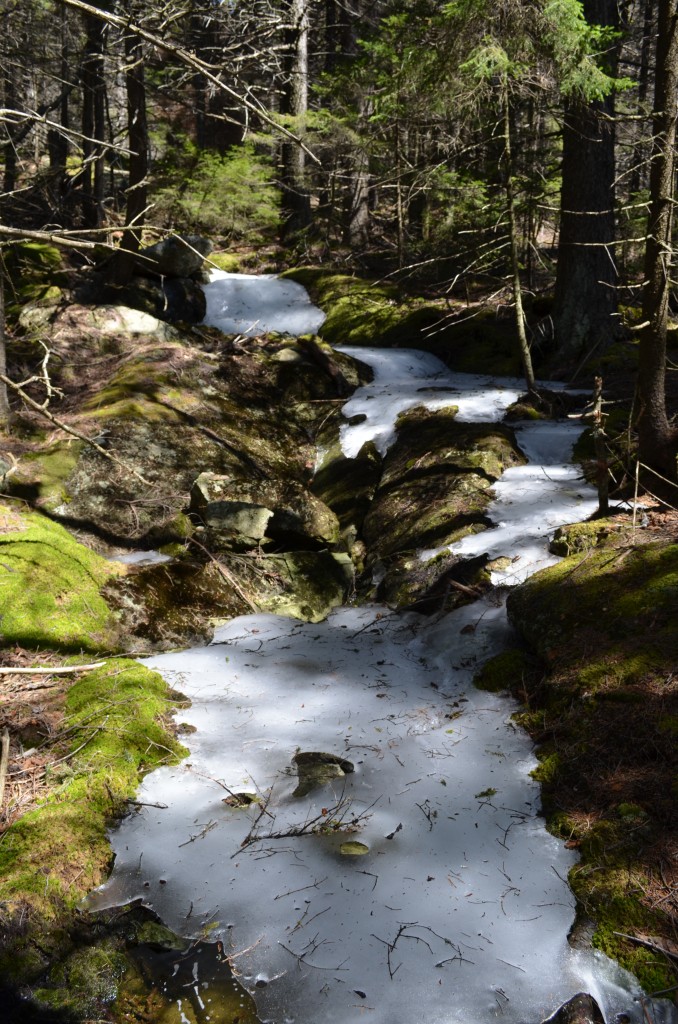 On Monadnock's western flanks, the upper reaches of Fox Brook are still frozen. 04.24.13. Photo by Patrick Hummel.