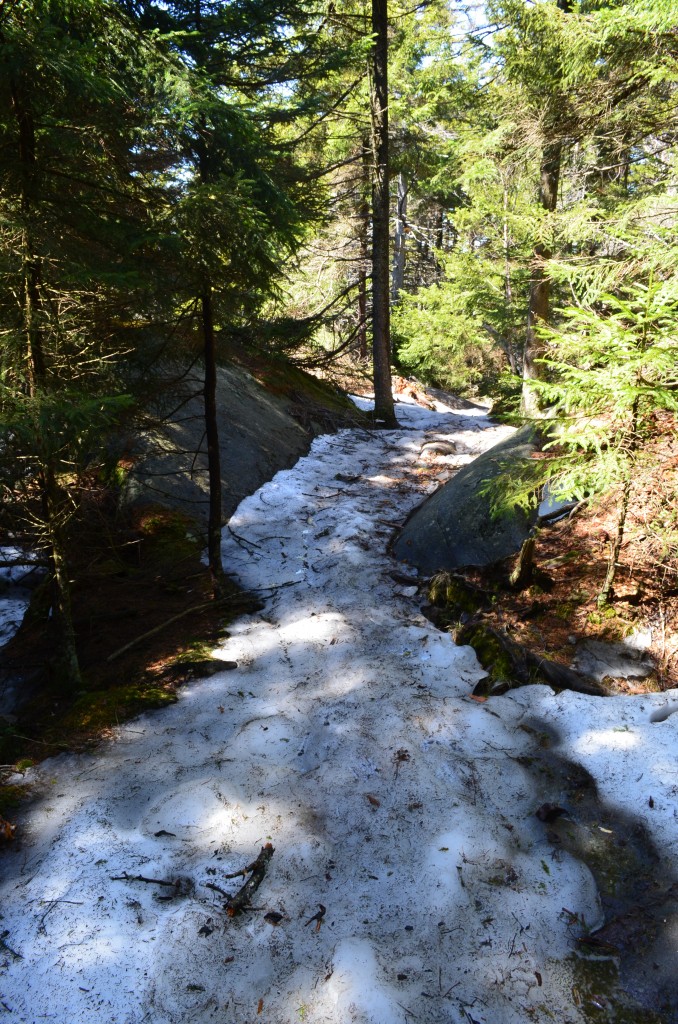 Well shaded pockets, like this one on the Marlboro Trail, are still clinging to snow and ice. Photo taken on a 70 degree day, 04.24.13, by Patrick Hummel.