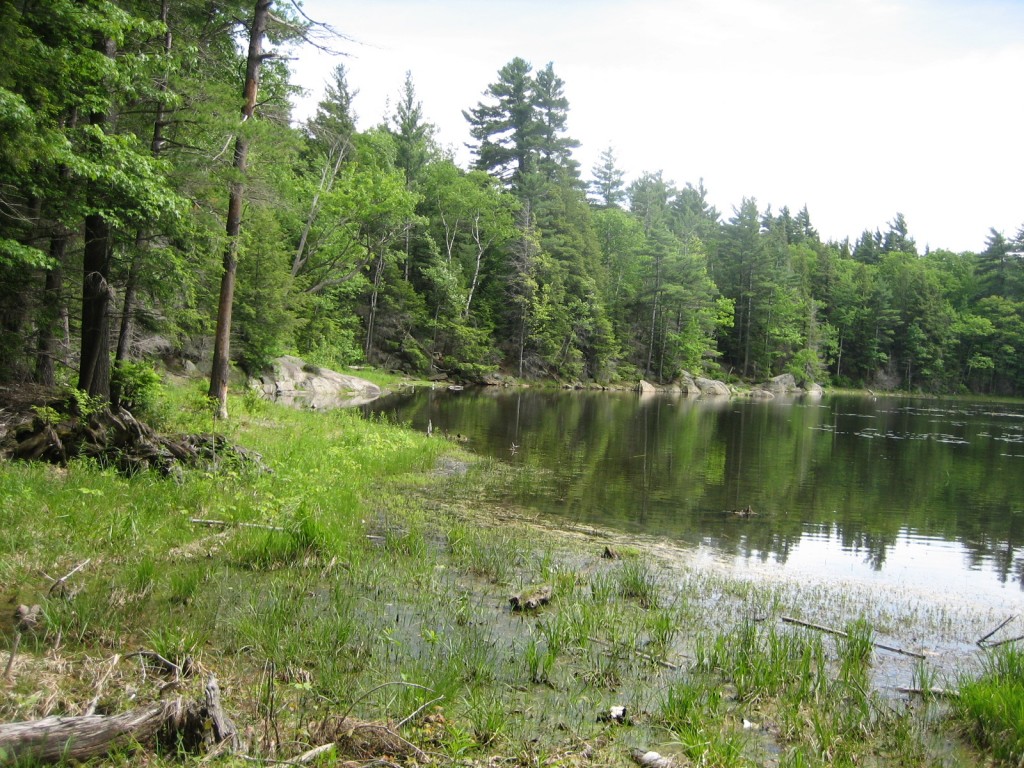 Camp for a night or two next to Monadnock's Gilson Pond, seen here. 