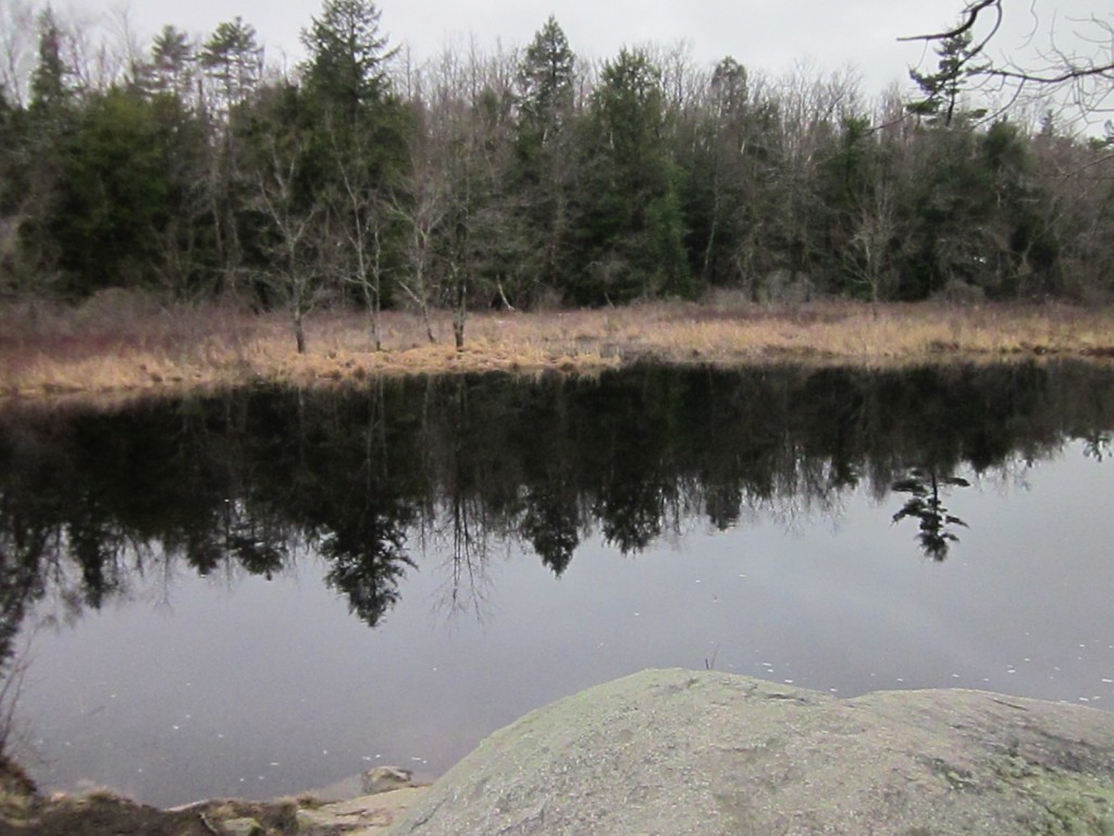 Reflections of trees in Contoocook River