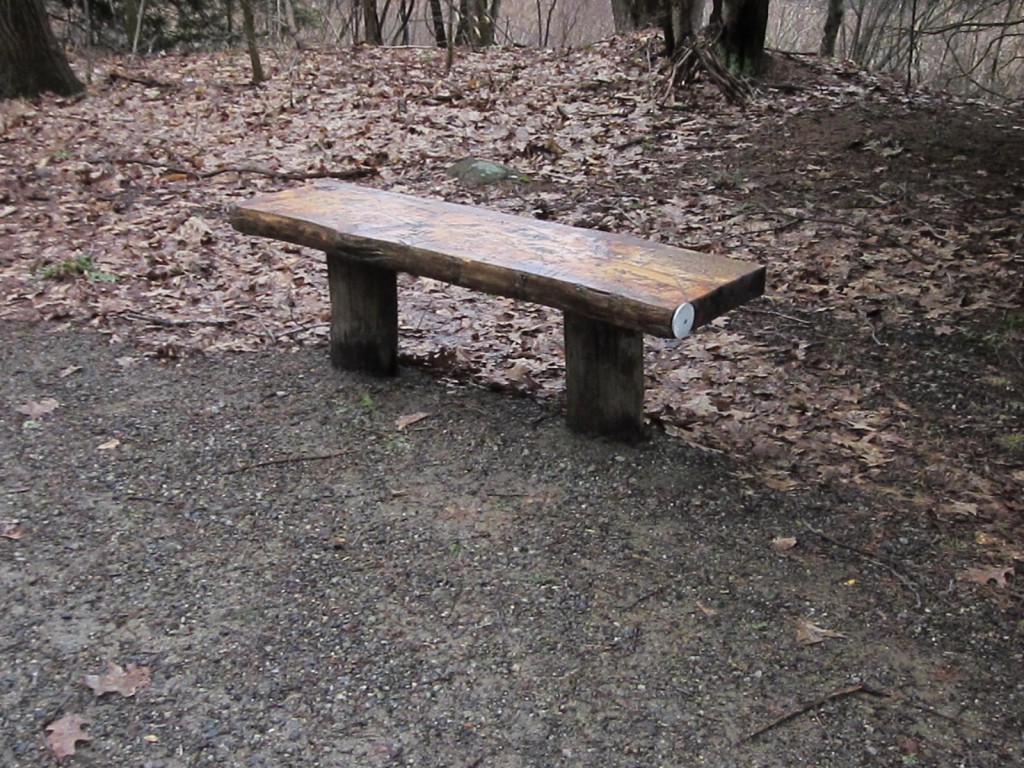 One of the nice benches along the trail to relax on.