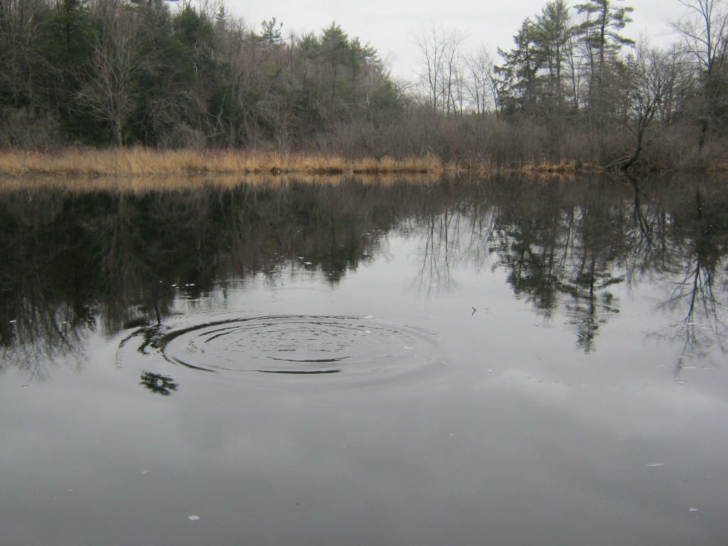 Small ripple in the reflecting Contoocook River