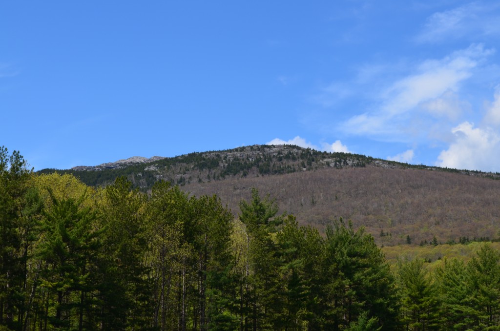 The leaves are out at the base of Monadnock, and the trees in the middle of the mountain are not far behind. Photo by Patrick Hummel, 05.10.13
