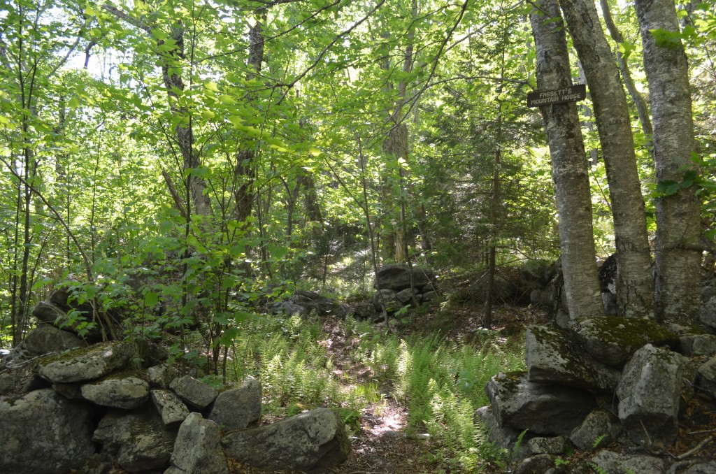 The stone foundation of Joseph Fassett's house, where Thoreau and Blake passed, can still be seen today on the Fairy Spring Trail. 06.04.13. Photo by Patrick Hummel.