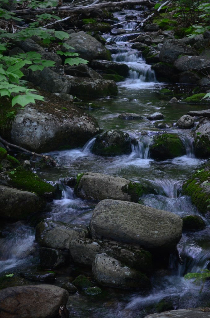 The "quiet waters" of Mount Monadnock's Meade Brook. 06.04.13. Photo by Patrick Hummel.