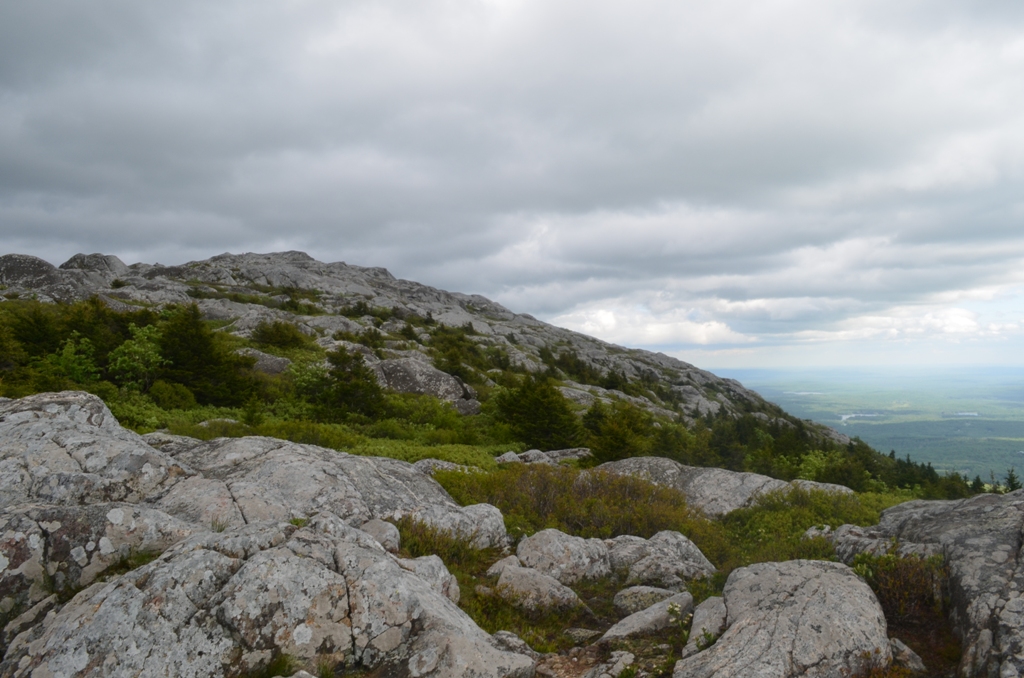 A view from the western shoulder to Monadnock's summit on 06.12.13. Photo by Patrick Hummel.