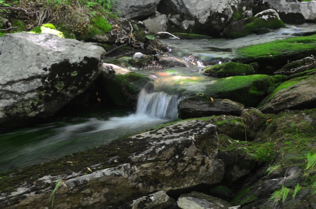 Another tranquil view on the Ark Brook, Mount Monadnock. 06.19.13. Photo by Patrick Hummel.