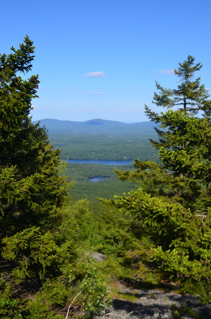 A view off of the Red Spot Trail to Gilson Pond, Thorndike Pond, and Pack Monadnock Mountain. 06.19.13. Photo by Patrick Hummel.