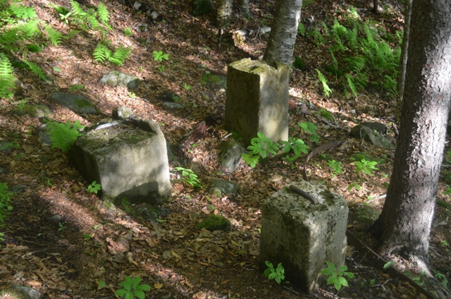 Cement pillars that once supported the water storage tanks for the Half Way House. These can be found just off to the right at the start of the Sidefoot Trail. Photo by Patrick Hummel.