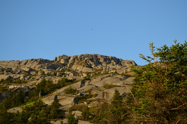 Looking up towards Monadnock's summit from the top of the Fairy Spring Trail. 08.21.13. Photo by Patrick Hummel.