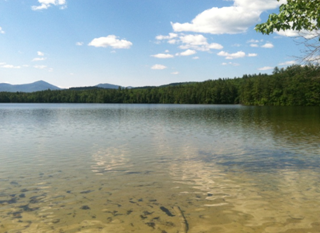 White Lake has clear, shallow, and sandy waters that make it perfect for swimming.