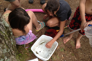 Kids identified what they caught during Lake Dwellers, including a pickerel fish, green frog, and dragonfly larva.
