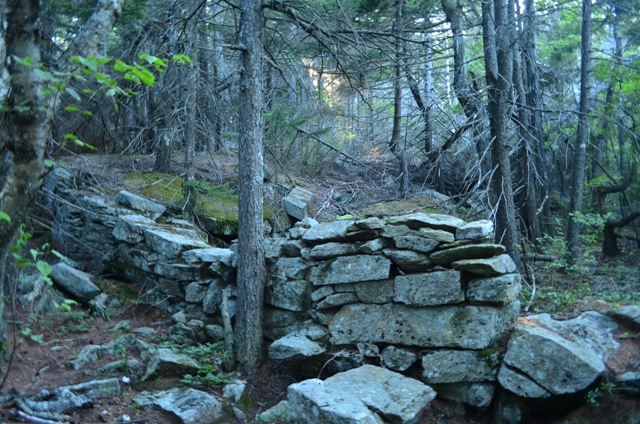 A nearly 200 year old rock wall foundation remains partially intact on the south slopes of Grand Monadnock. Photo by Patrick Hummel
