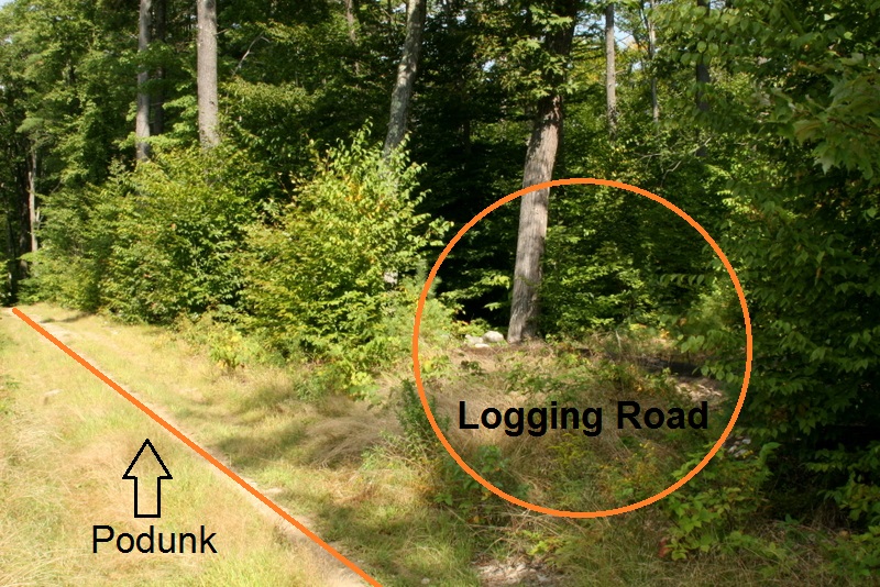 Find the faint trail located just southeast of pole 36. This is an old logging road.