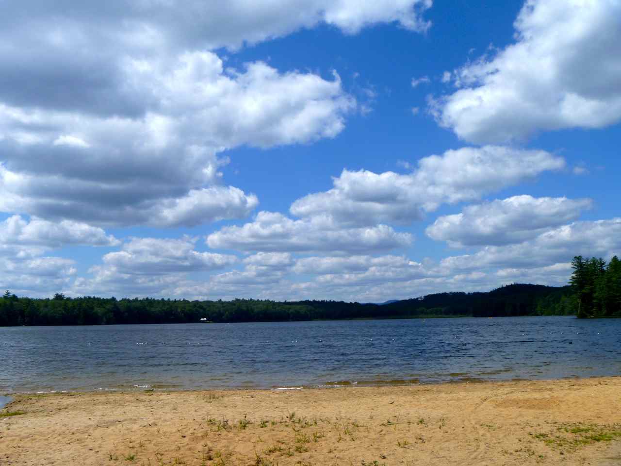 Come swim in beautiful Otter Lake!