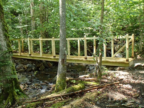 A bridge near the picnic area that a SCA crew built in early June.