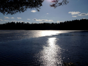 Ice melting on Beaver Pond in mid-April