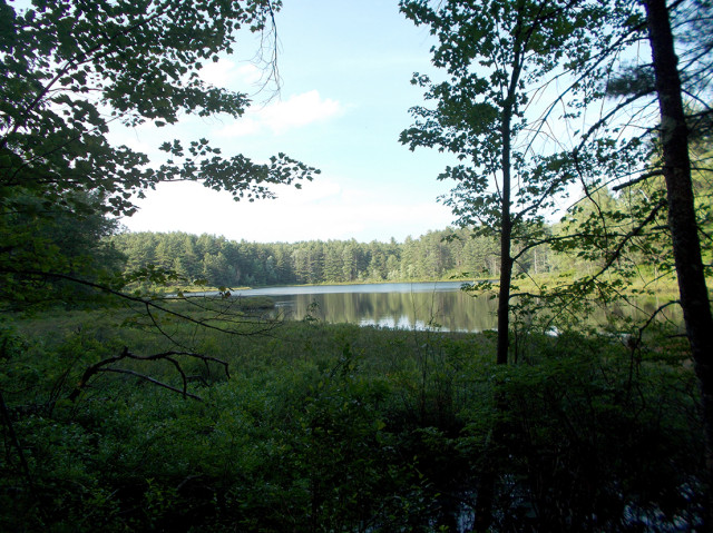 Greenfield-SP_otter-lake