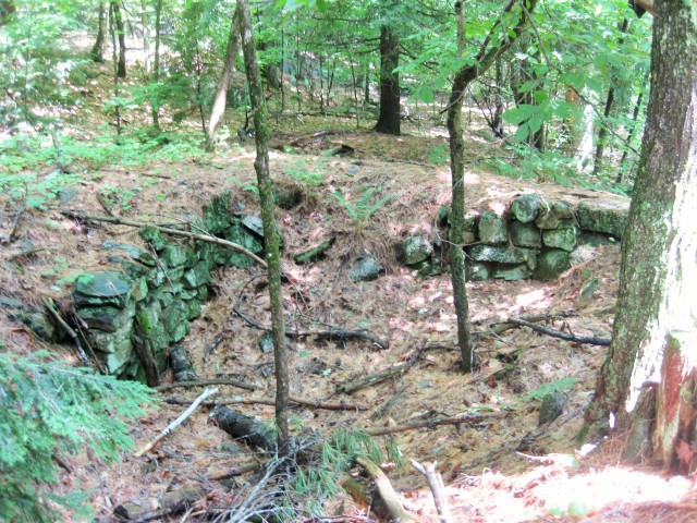 Old cellar foundation off of Fundy Trail