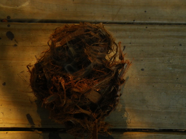 Tinder Bundle Nest with coal baby inside.