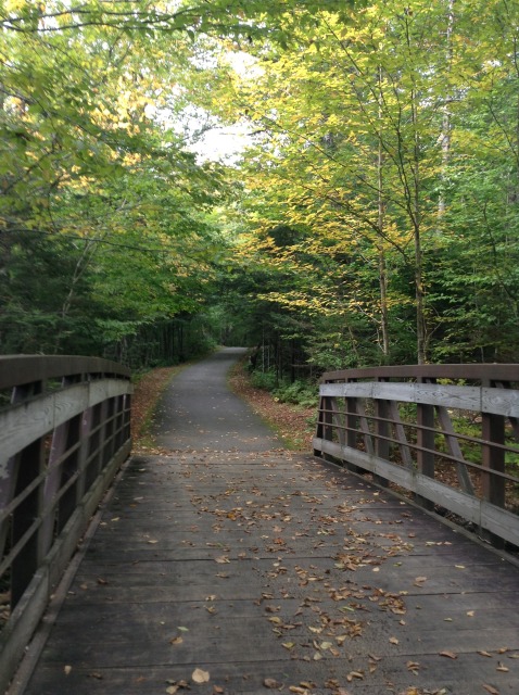 Signs of Autumn along FNSP's bike trail!