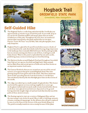 Greenfield_Hogback-Trail-Guide-1