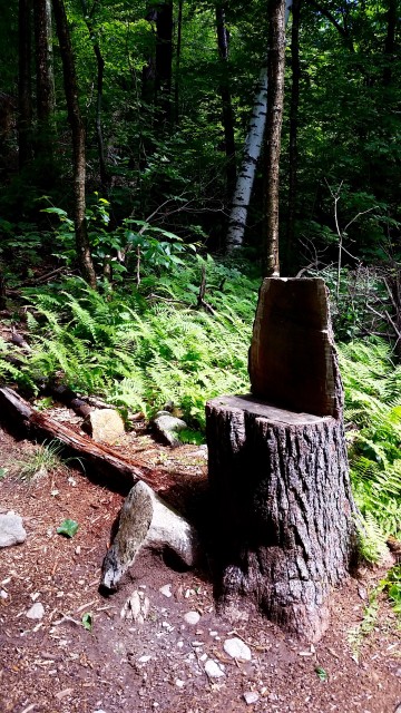 A stump-seat offers a brief reprieve from the White Dot Trail.