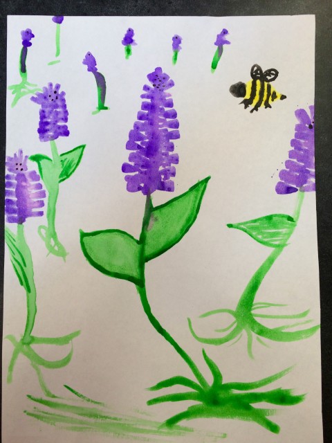 A watercolor I did at a later date of the pickerelweed.  