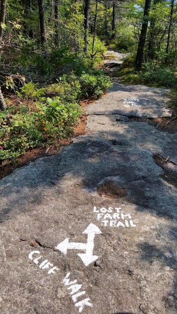The Lost Farm Trail will follow the scenic cliff path back to Park HQ.