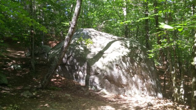 One of the largest erratics found along along the way.