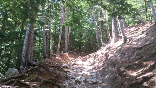 Short sections of the trail have been eroded by rain